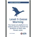 Goose Warning
