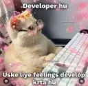 developer_hun