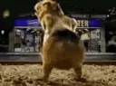 Dance .gg/emps
