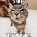 *sniff* yep youre gay