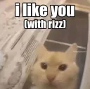 i like you with rizz
