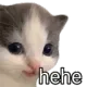 hehe