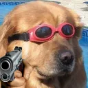 gunno doggo