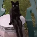 s2n_blackcat (.gg/s2n)