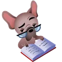 intelectual intelectual