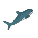 sharkspin