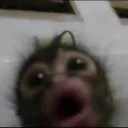 monk shocked (.gg/s2n)