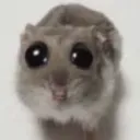 smelly .gg/taunt