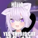 this is cat | .gg/kfd