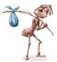 Homeless Ant 