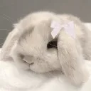 bun