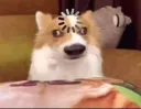 uhhhhhhhhhhhhhh