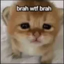 brah wtf brah