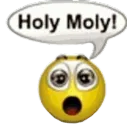 holy moly !
