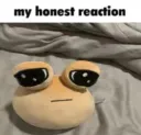 my honest reaction