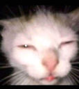 me when flashbang