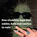 Cactus  .gg/emps