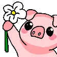 piggyflower