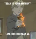 Birthday cat