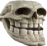skull