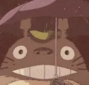 totoro grin