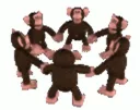 Monkeys spinning
