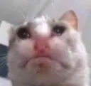 sad