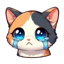 Calico Cry Discord.gg/MCGC