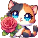 Calico Rose Discord.gg/MCGC