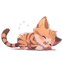 Kitty Sleeping