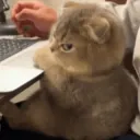 mad