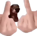 kuca