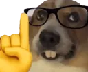 nerd