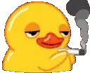 duck smoke laugh