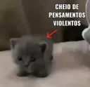 pensamentos violentos