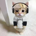 xqcat