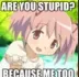 stupid