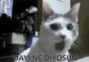 dayı ne diyosun