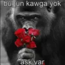 bugun kavga yok