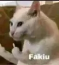 fakiu
