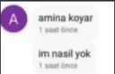 amina koyar im nasıl yok