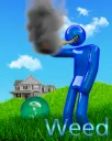 Weed