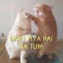 daru piya na tum