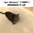 GO SHOWER!! /degraved