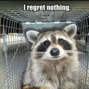 No ragrets