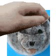 seal pat