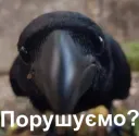 Порушуємо?