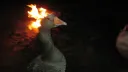 Goose Fire