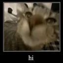 .gg/hmv | hi