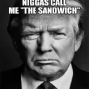 the sandwhich